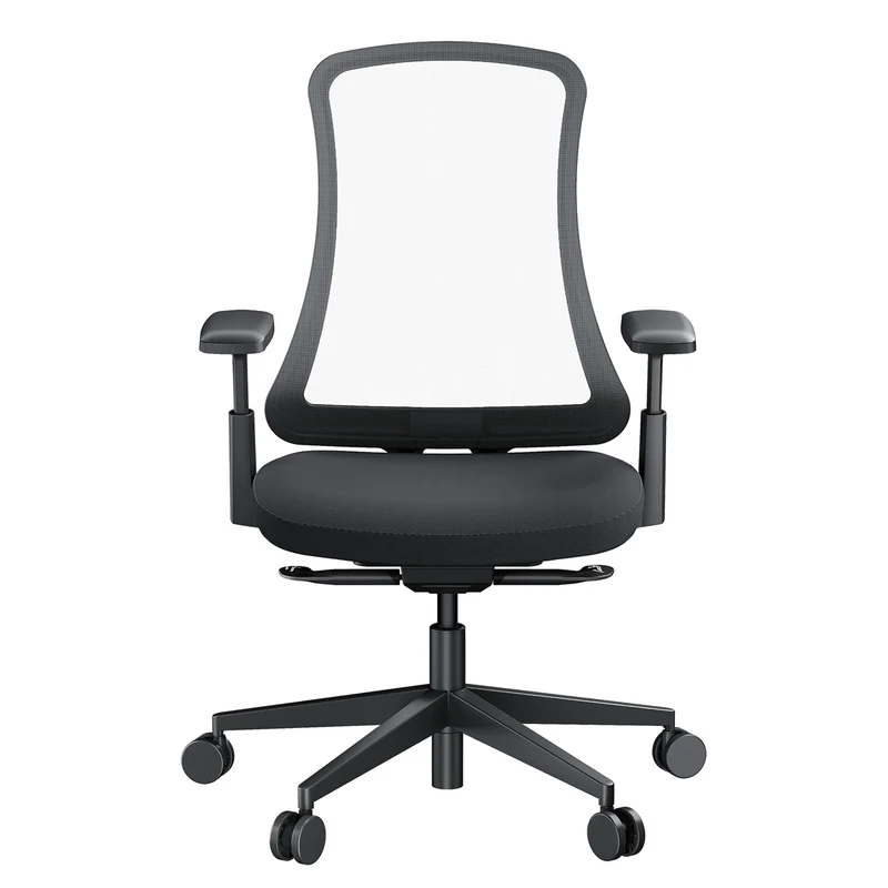 ProtoArc Flexer Mesh Ergonomic Office Chair (Black) (CP016457)