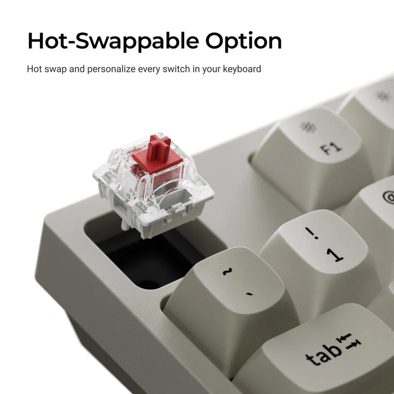 Keychron C2 Pro 8K QMK RGB Hot-Swappable Full Size Wired Custom Mechanical Keyboard (Super Brown Switch) (C2PX-M3)