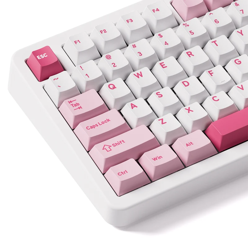 Akko TAC87 Prunus Lannesiana Multi-Mode RGB Hot-Swappable Mechanical Keyboard (Akko Stellar Rose Switch)