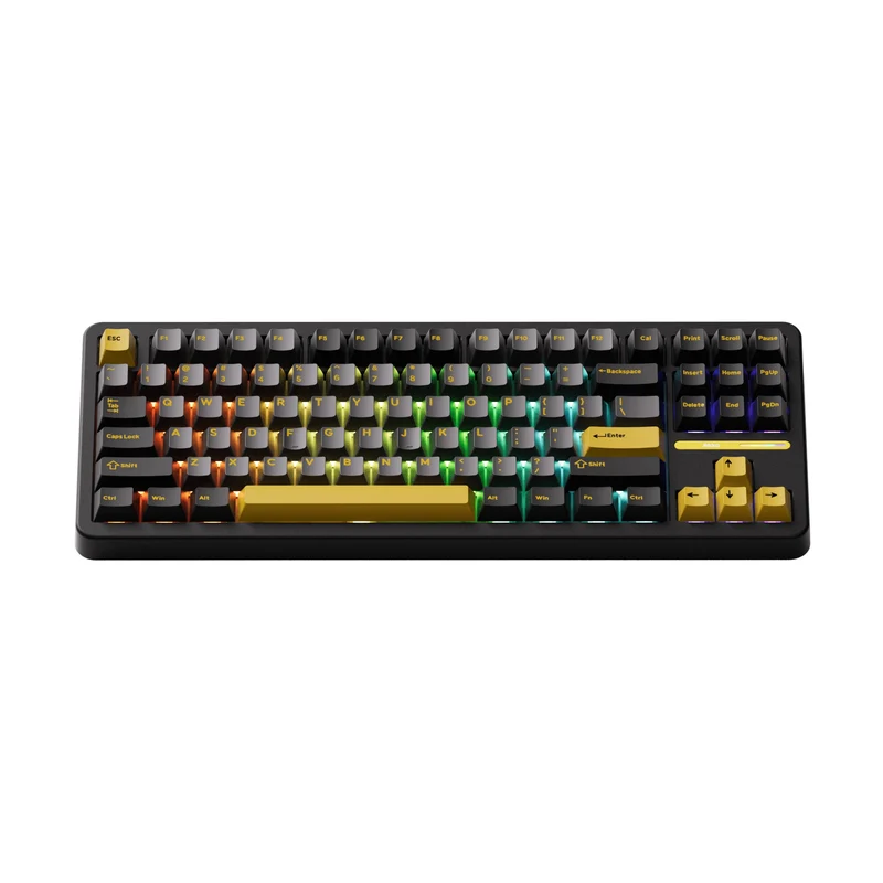 Akko TAC87 Black & Gold Multi-Mode RGB Hot-Swappable Mechanical Keyboard (Akko Mirror Switch)