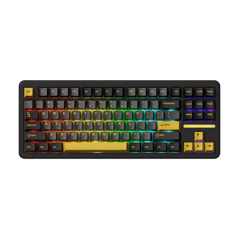 Akko TAC87 Black & Gold Multi-Mode RGB Hot-Swappable Mechanical Keyboard (Akko Mirror Switch)