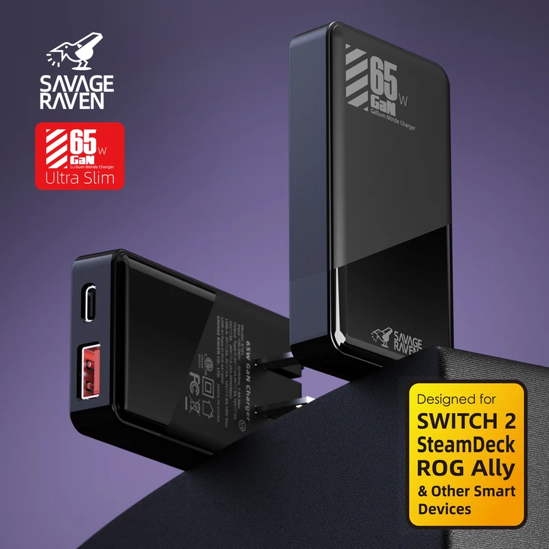 Skull & Co. GaN 65W Ultra Slim AC Adapter for Nintendo Switch 2 / Steam Deck / ROG Ally & Other Smart Devices (Black) (CH-US65-BK)