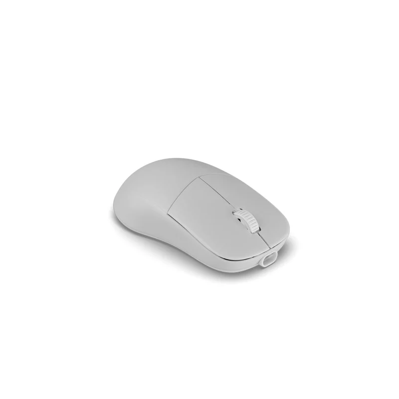 Endgame Gear XM2w 4K V2 Lightweight Wireless Gaming Mouse (Black, White, Dark Forest, White Forest)