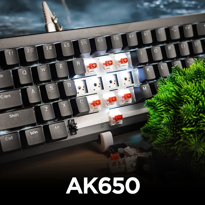 Ajazz AK650 White Backlit Wired 66-Key Gasket-Mounted Hot-Swappable Mechanical Keyboard (Black) (Red Switch)