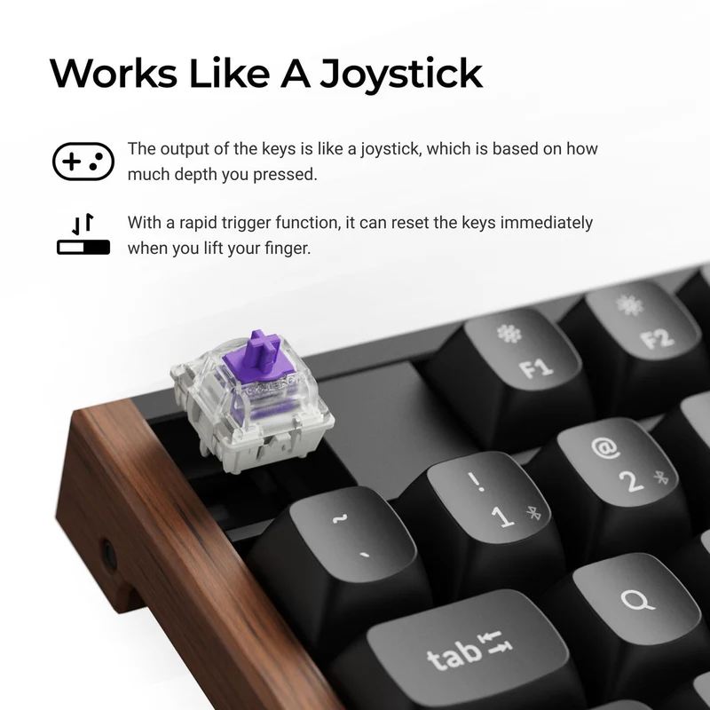 Keychron K10 HE Special Ed. Full Size Wireless Magnetic Switch Custom Keyboard - Black (Gateron Double-Rail Magnetic Nebula Switch) (K10H-F1)