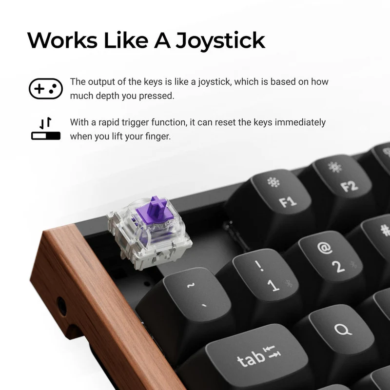 Keychron K8 HE Special Ed. TKL Wireless Magnetic Switch Custom Keyboard - Black (Gateron Double-Rail Magnetic Nebula Switch) (K8H-F1)