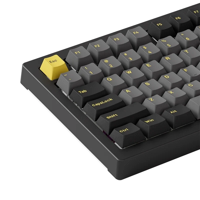 Akko Black & Gold 5075B Plus Multi-Mode RGB Hot-Swappable Mechanical Keyboard (Akko V3 Cream Yellow Pro)