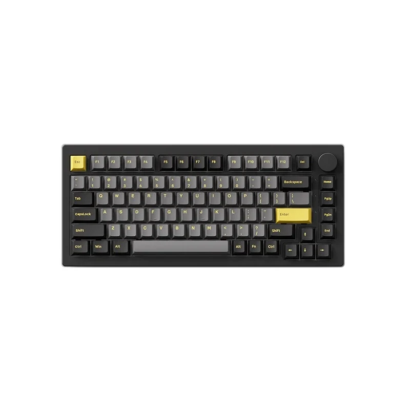 Akko Black & Gold 5075B Plus Multi-Mode RGB Hot-Swappable Mechanical Keyboard (Akko V3 Cream Yellow Pro)