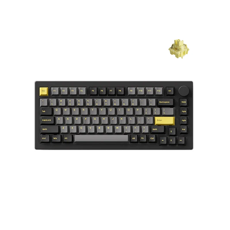 Akko Black & Gold 5075B Plus Multi-Mode RGB Hot-Swappable Mechanical Keyboard (Akko V3 Cream Yellow Pro)