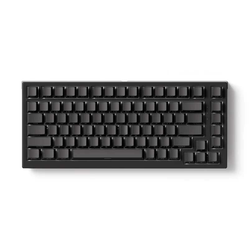 Akko TAC75 HE Shine-Through Black Wired ARGB Mechanical Keyboard (Akko AstroAim Magnetic Switch)
