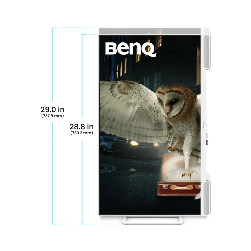 BenQ EW3290U 32" 4K (3840x2160) 60Hz 5ms GTG IPS Premium Monitor