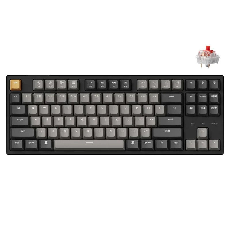 Keychron C1 Pro QMK/VIA RGB Backlight Hot-Swappable TKL Wired Mechanical Keyboard - Black (K Pro Red Switch) (C1P-M1)