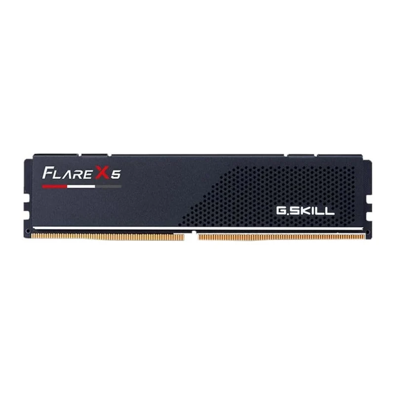 G.Skill Flare X5 16GB (16GBx1) DDR5 6000 MT/s CL36-36-36-96 1.35V Intel XMP / AMD EXPO Desktop Memory (F5-6000J3636F16GX1-FX5)