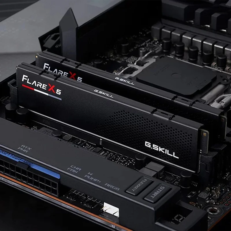 G.Skill Flare X5 16GB (16GBx1) DDR5 6000 MT/s CL36-36-36-96 1.35V Intel XMP / AMD EXPO Desktop Memory (F5-6000J3636F16GX1-FX5)