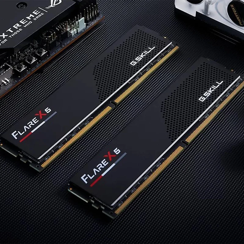 G.Skill Flare X5 16GB (16GBx1) DDR5 6000 MT/s CL36-36-36-96 1.35V Intel XMP / AMD EXPO Desktop Memory (F5-6000J3636F16GX1-FX5)