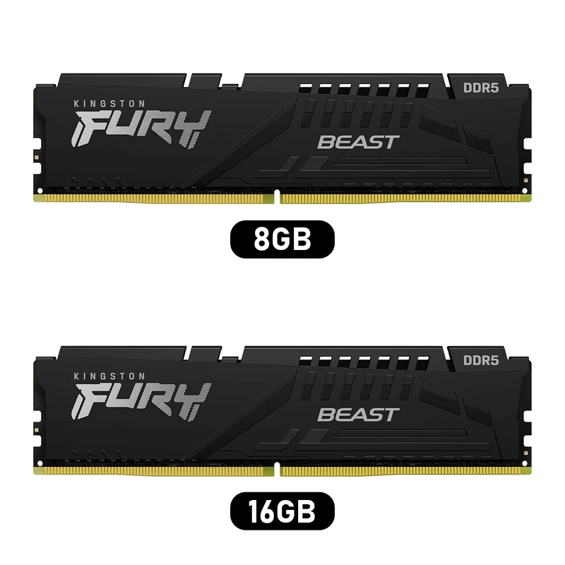Kingston Fury Beast DDR5 5600MT/s CL36-38-38 1.25V EXPO/XMP Desktop Memory (8GB, 16GB) ((KF556C36BBE-8, KF556C36BBE-16)