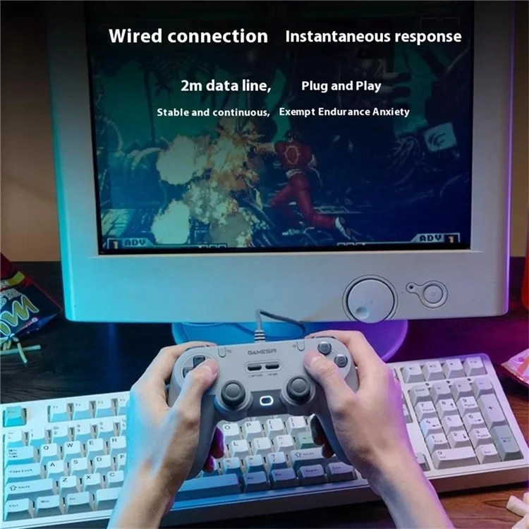Gamesir T3 Lite Wired Game Controller (Serene White, Retro Gray)