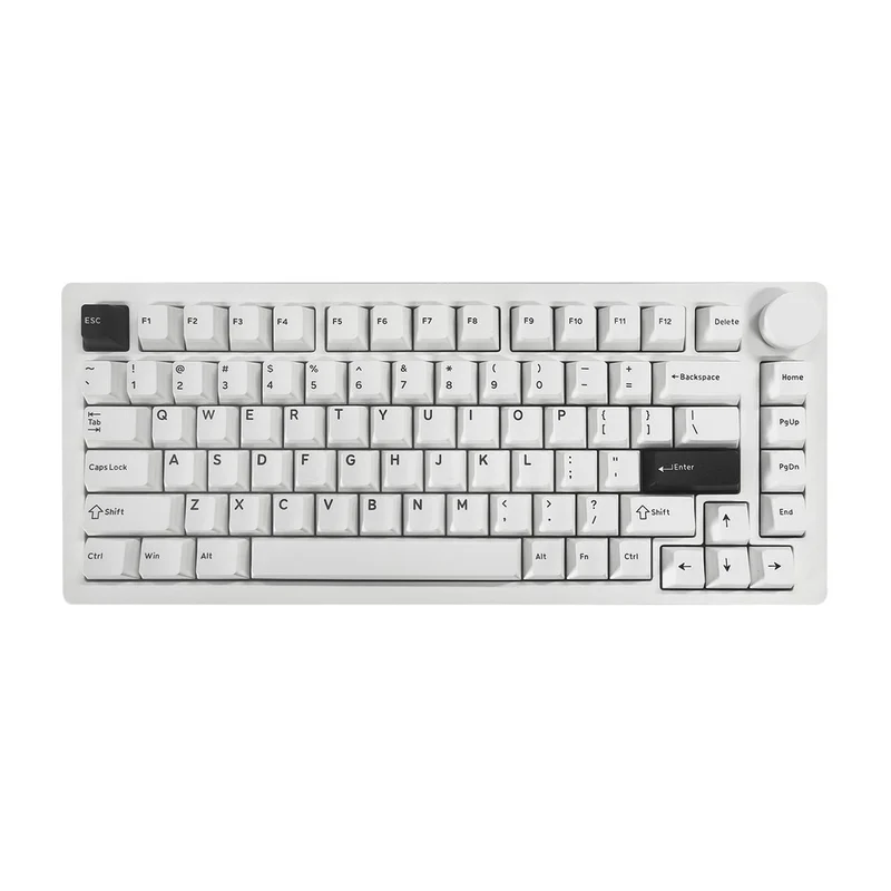 MonsGeek M1 V5 Black on White Aluminum Case Multi-Mode RGB Hot-Swappable Mechanical Keyboard (Akko Mirror Switch, Akko Cilantro Switch)
