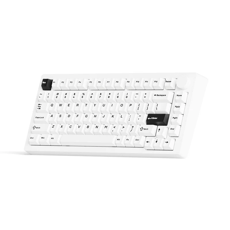 MonsGeek M1 V5 Black on White Aluminum Case Multi-Mode RGB Hot-Swappable Mechanical Keyboard (Akko Mirror Switch, Akko Cilantro Switch)