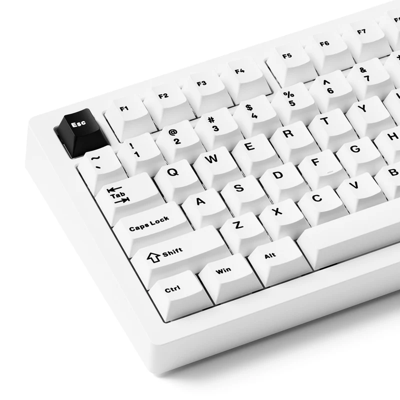 MonsGeek M1 V5 Black on White Aluminum Case Multi-Mode RGB Hot-Swappable Mechanical Keyboard (Akko Mirror Switch, Akko Cilantro Switch)