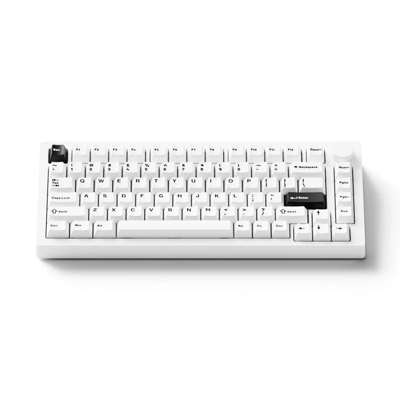 MonsGeek M1 V5 Black on White Aluminum Case Multi-Mode RGB Hot-Swappable Mechanical Keyboard (Akko Mirror Switch, Akko Cilantro Switch)
