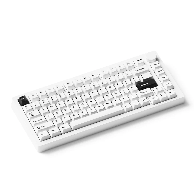 MonsGeek M1 V5 Black on White Aluminum Case Multi-Mode RGB Hot-Swappable Mechanical Keyboard (Akko Mirror Switch, Akko Cilantro Switch)
