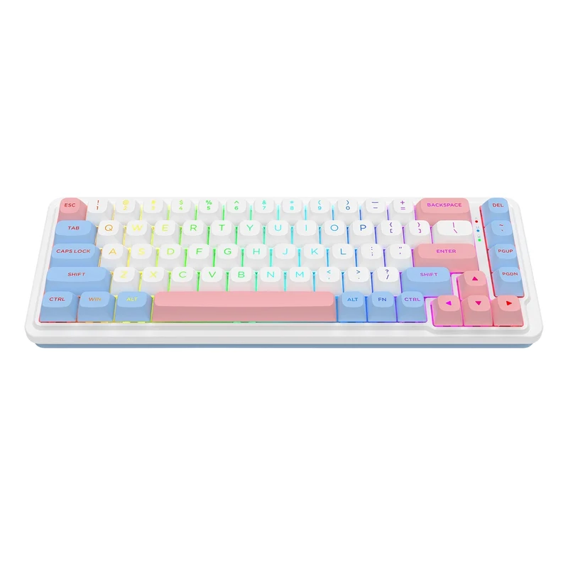 Redragon K709WBP RGB Nova Pro 81 Keys 75% Hot-Swappable Gasket-Mounted Wireless Mechanical Gaming Keyboard (Mint Mambo Switch) (Wonder Pink & Blue)