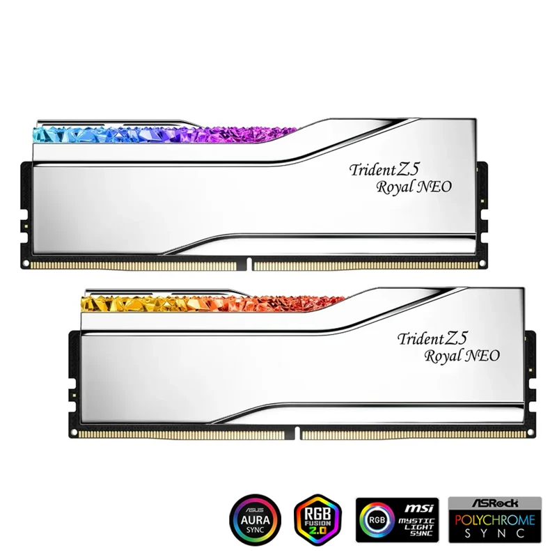 G.Skill Trident Z5 Royal Neo DDR5 48GB (2x24GB) 6000 MT/s CL28-36-36-96 1.35V AMD EXPO Desktop Memory (Silver) (F5-6000J2836F24GX2-TR5NS)