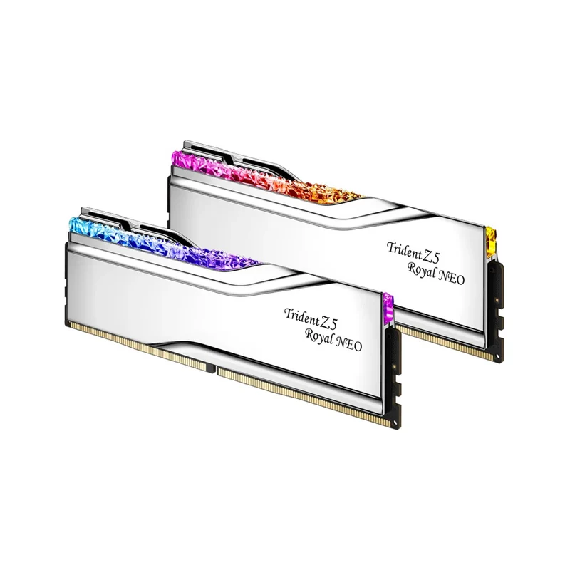 G.Skill Trident Z5 Royal Neo DDR5 48GB (2x24GB) 6000 MT/s CL28-36-36-96 1.35V AMD EXPO Desktop Memory (Silver) (F5-6000J2836F24GX2-TR5NS)