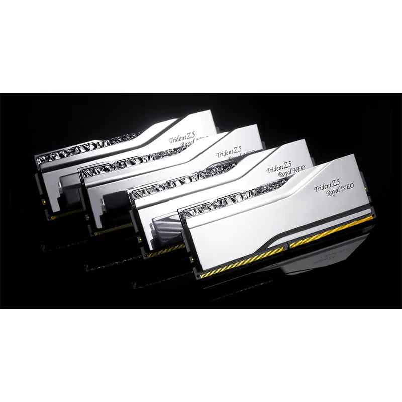 G.Skill Trident Z5 Royal Neo DDR5 48GB (2x24GB) 6000 MT/s CL28-36-36-96 1.35V AMD EXPO Desktop Memory (Silver) (F5-6000J2836F24GX2-TR5NS)