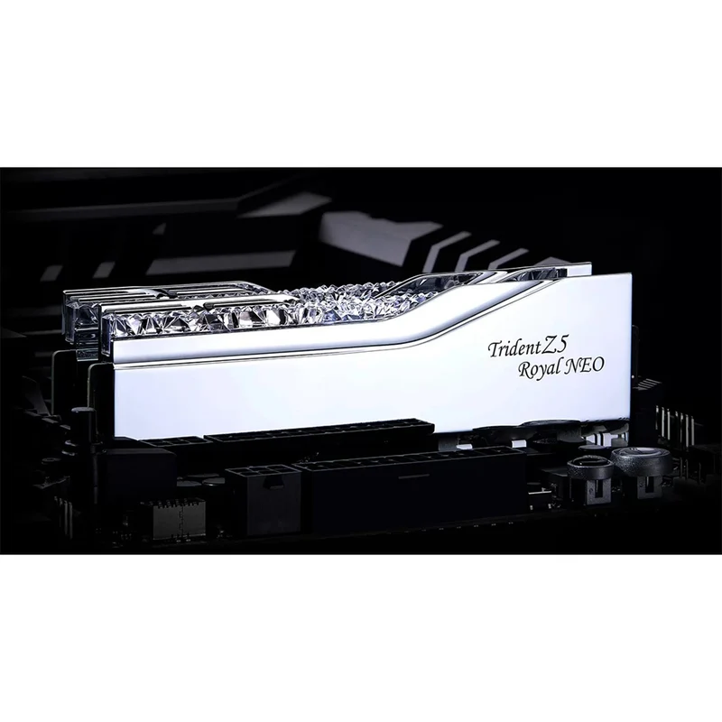 G.Skill Trident Z5 Royal Neo DDR5 48GB (2x24GB) 6000 MT/s CL28-36-36-96 1.35V AMD EXPO Desktop Memory (Silver) (F5-6000J2836F24GX2-TR5NS)