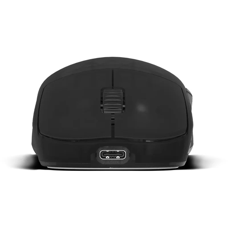 Endgame Gear OP1w 4K Wireless Gaming Mouse (Dark Frost, White Frost, Black, White)
