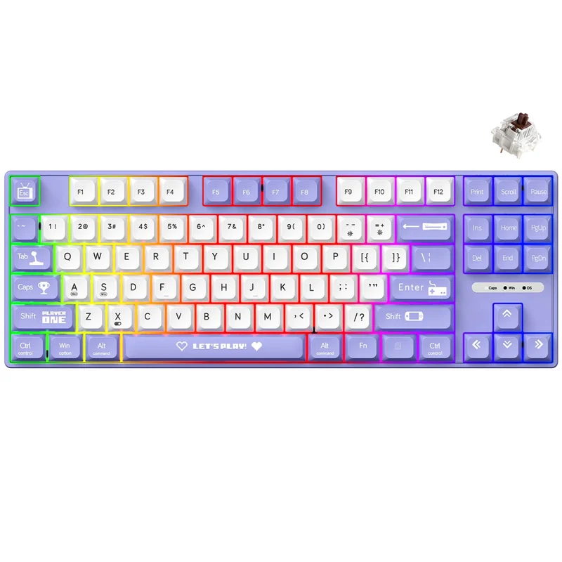 Ajazz AK870MC RGB Wired 87-Keys TKL Gasket-mounted Hot Swappable Mechanical Keyboard (Purple/White) (Brown Switch, Red Switch)