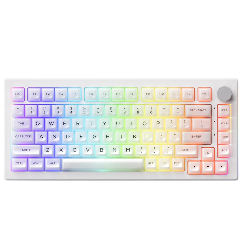 Akko 5075B Plus ASA Clear Multi-Mode RGB Hot-Swappable Mechanical Keyboard White (Akko V3 Piano Pro Switch Special Version)