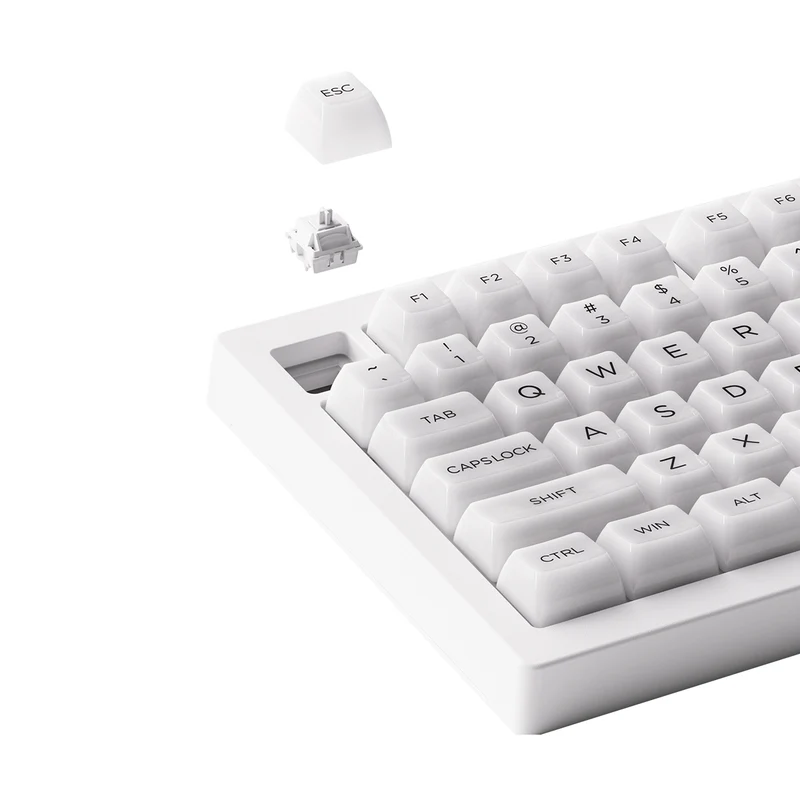 Akko 5075B Plus ASA Clear Multi-Mode RGB Hot-Swappable Mechanical Keyboard White (Akko V3 Piano Pro Switch Special Version)