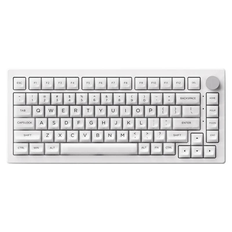 Akko 5075B Plus ASA Clear Multi-Mode RGB Hot-Swappable Mechanical Keyboard White (Akko V3 Piano Pro Switch Special Version)