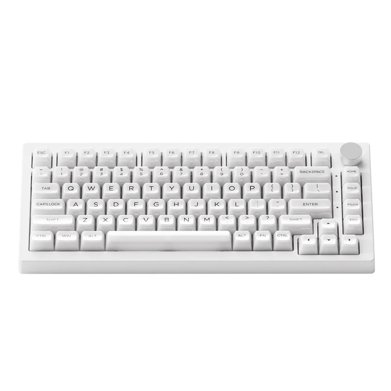 Akko 5075B Plus ASA Clear Multi-Mode RGB Hot-Swappable Mechanical Keyboard White (Akko V3 Piano Pro Switch Special Version)