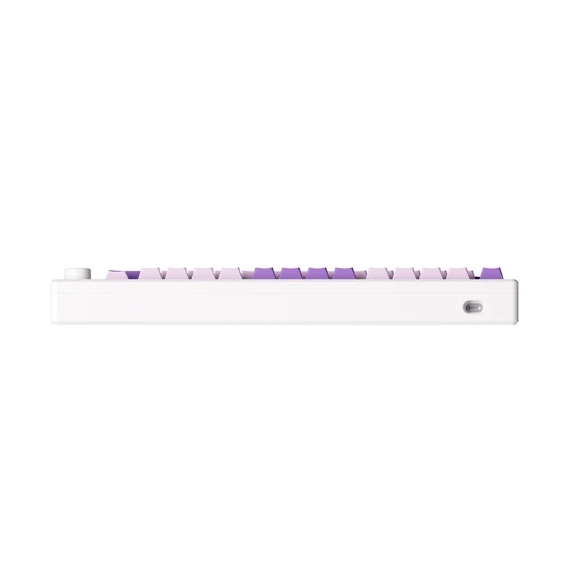 Akko MOD 007 HE PC Wired RGB Hot-Swappable Mechanical Keyboard (Purple Melody) (Akko Cream Yellow Magnetic Switch)