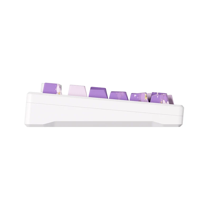 Akko MOD 007 HE PC Wired RGB Hot-Swappable Mechanical Keyboard (Purple Melody) (Akko Cream Yellow Magnetic Switch)