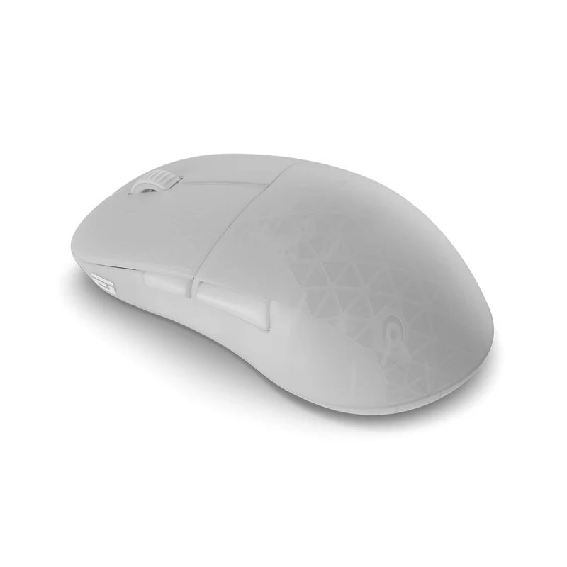 Endgame Gear XM2W 4K Lightweight Wireless Gaming Mouse (Black, White, Dark Frost, White Frost)