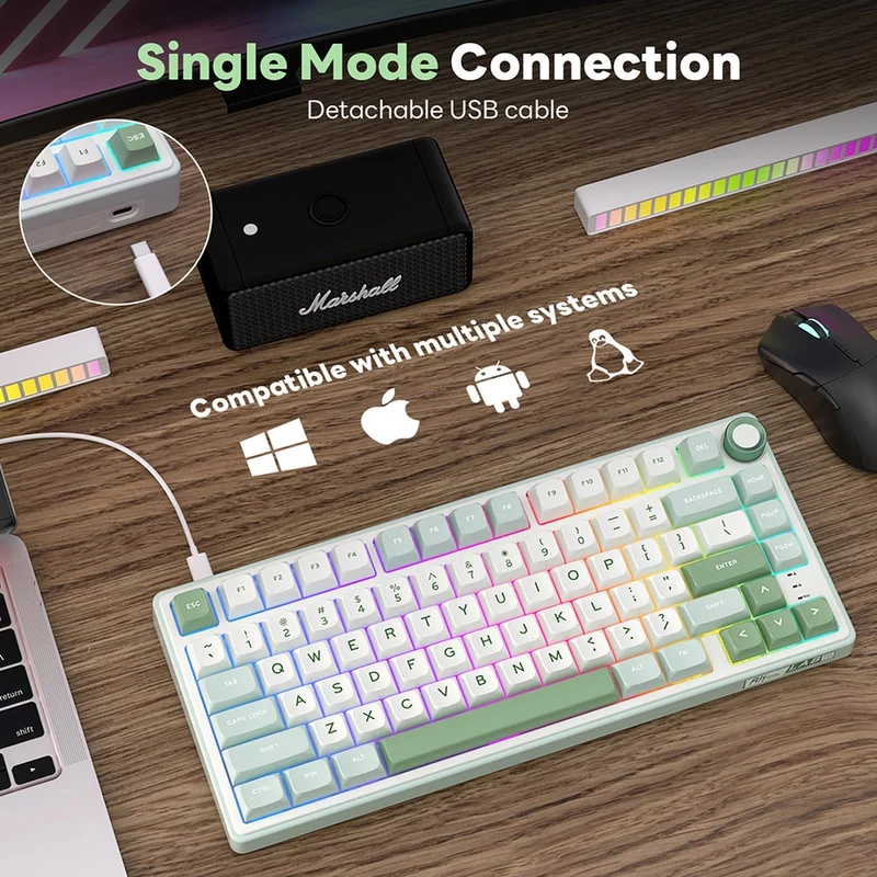 Royal Kludge R75 QMK Single-Mode RGB 81 Keys Hot-Swappable Mechanical Keyboard Sky Cyan (Blue Switch, Brown Switch, K Silver Switch)