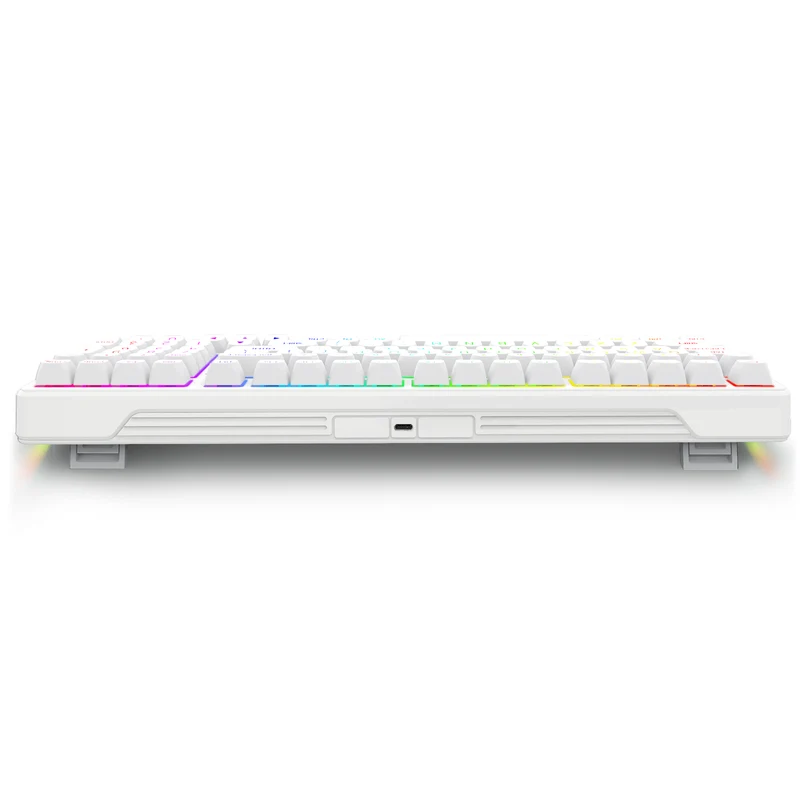 E-Yooso Z-99 RGB 99-Keys Wired Mechanical Keyboard White (Silverwood Switch)