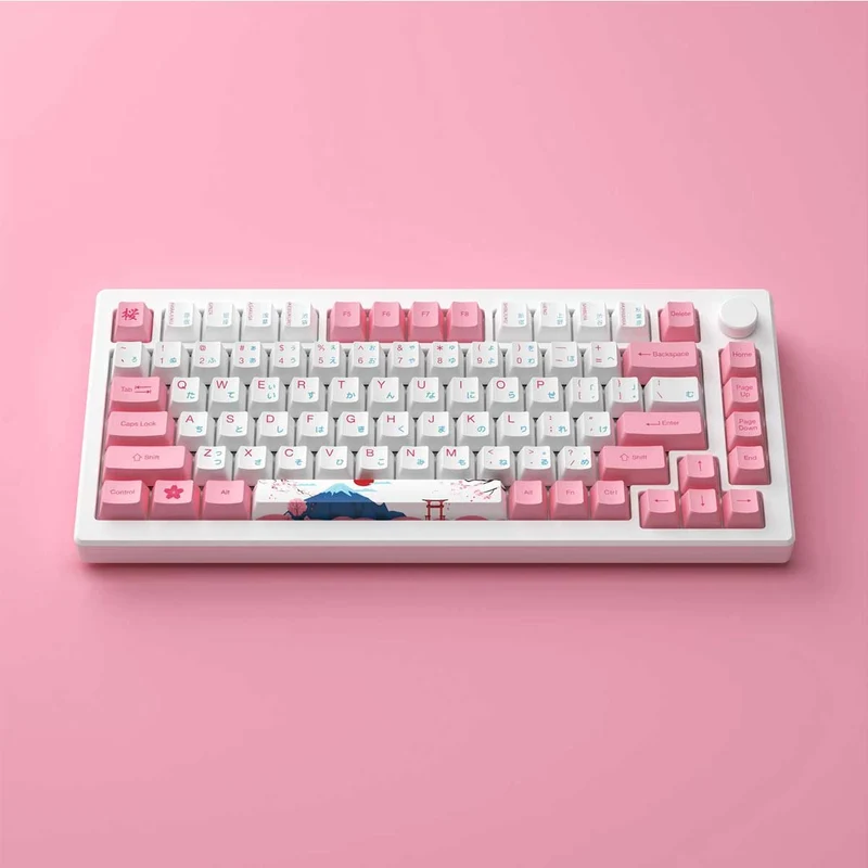 Akko MOD 007B HE PC Tokyo R2 Tri-Mode RGB Hot-Swappable Mechanical Keyboard