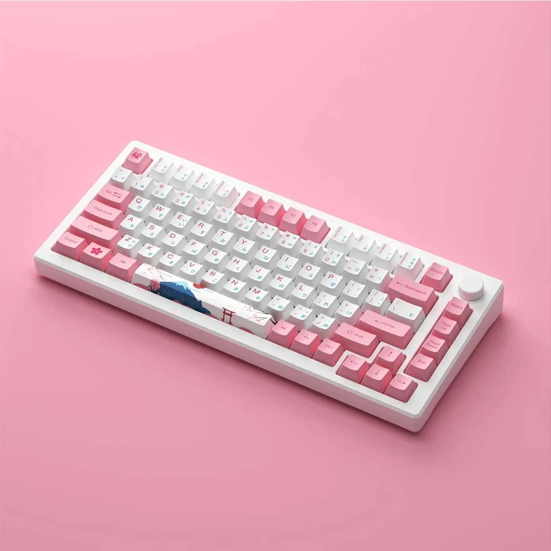 Akko MOD 007B HE PC Tokyo R2 Tri-Mode RGB Hot-Swappable Mechanical Keyboard