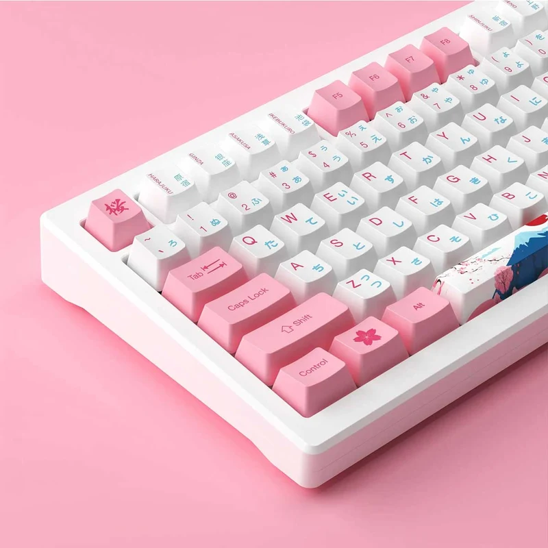 Akko MOD 007B HE PC Tokyo R2 Tri-Mode RGB Hot-Swappable Mechanical Keyboard
