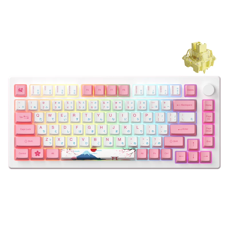 Akko MOD 007B HE PC Tokyo R2 Tri-Mode RGB Hot-Swappable Mechanical Keyboard