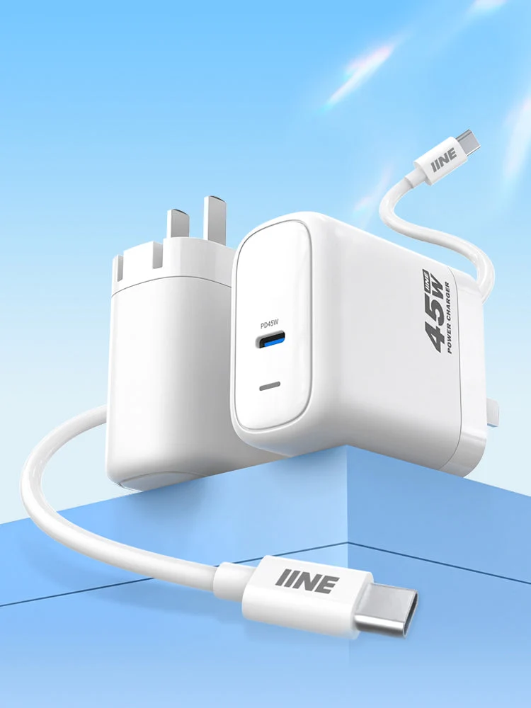 IINE 45W Charger for Nintendo Switch (L978)