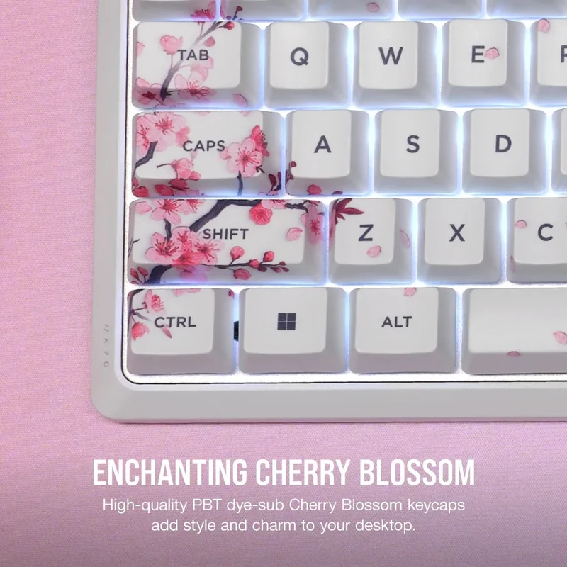 Corsair K70 Core SE RGB Mechanical Gaming Keyboard Cherry Blossom (MLX Red Pre-Lubed Mechanical Switches) (CH-9109C1E-NA)