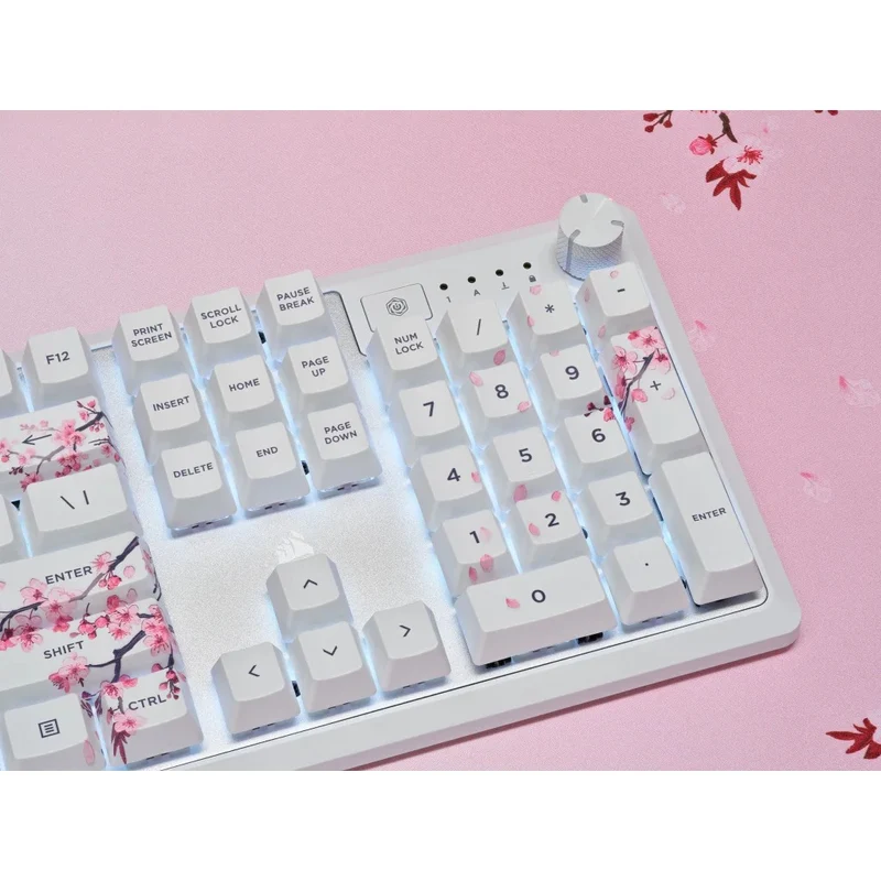 Corsair K70 Core SE RGB Mechanical Gaming Keyboard Cherry Blossom (MLX Red Pre-Lubed Mechanical Switches) (CH-9109C1E-NA)