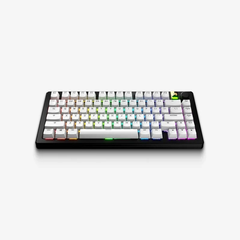 Glorious GPBT Basics Keycaps (Classic White, Mana Blue, Totem Green, Armor Gray)